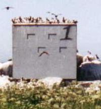 Close-up of Blind #1