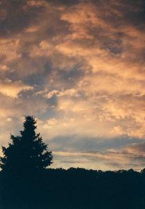 Clouds at Sunset