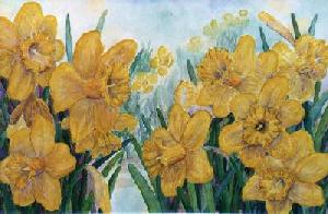 Golden daffodils
