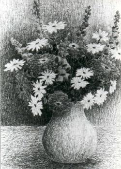 Potted flowers on table