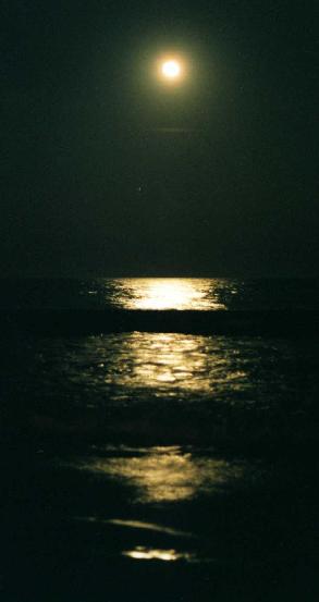 Moonlight at the Shore