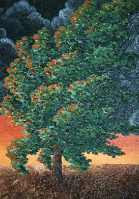 evening storm highlights tree